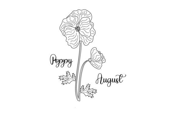 Birth Month Flowers - August - Poppy - Line Art - Embroidery