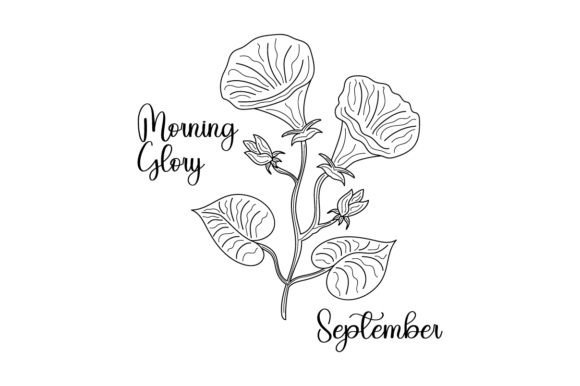 September Morning Glory Embroidery Design